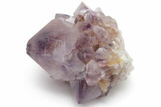 Cactus Quartz (Amethyst) Crystal - South Africa #220011