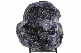 Top Quality, Purple Amethyst Geode - Blue Agate Rind #221139