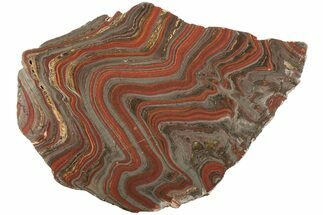 Polished Tiger Iron Stromatolite Slab - Billion Years #221837