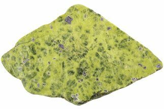 Polished Atlantisite Slab - Western Tasmania #221656