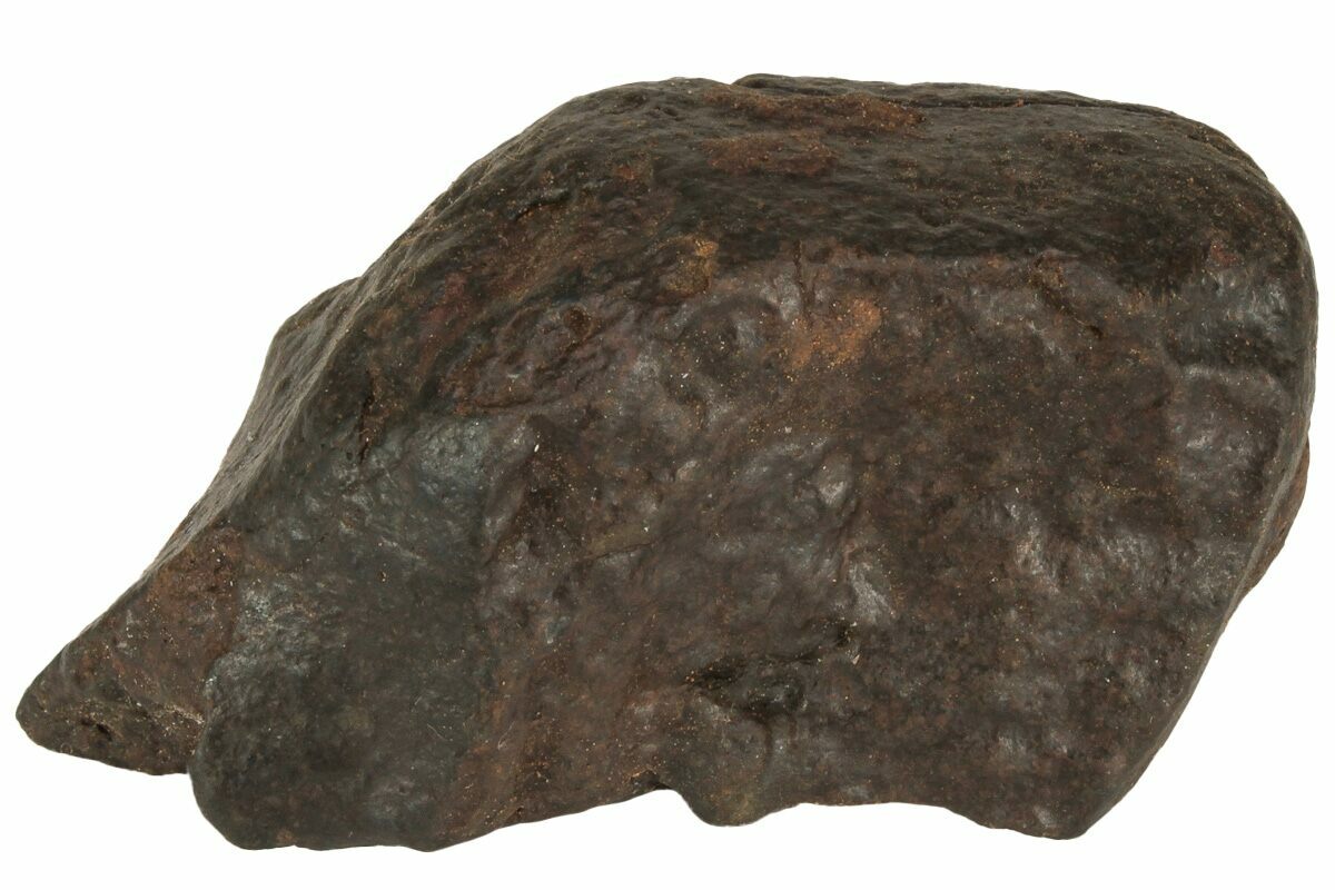 2.4" Chondrite Meteorite (101 grams) Western Sahara Desert (222370