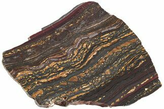 Polished Tiger Iron Stromatolite Slab - Billion Years #222050