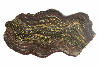 Polished Tiger Iron Stromatolite Slab - Billion Years #222953