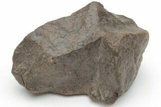 Chondrite Meteorite ( grams) - Western Sahara Desert #223100