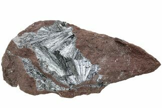 Metallic, Needle-Like Pyrolusite Crystals - Morocco #220636