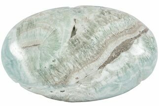 Polished Blue Caribbean Calcite Palm Stone #221355