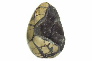 Septarian Dragon Egg Geode - Black Crystals #224198