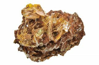 Yellow Wulfenite Crystals - Lucin, Utah #223331