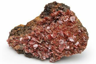 Lustrous, Red-Orange Wulfenite Cluster - Kuruktag Mountains, China #224999