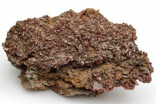 Striking, Red-Brown Wulfenite Cluster - Kuruktag Mountains, China #225010