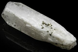 Lustrous Danburite Crystal With Pyrite - San Luis Potosi, Mexico #225697