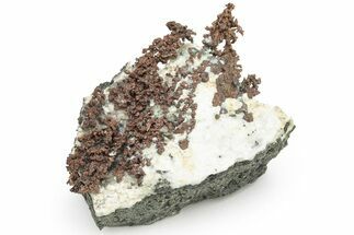 Natural, Native Copper Formation - New Jersey #225950