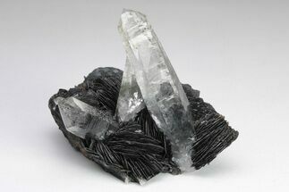 Quartz Crystals On Sparkling Bladed Hematite - Lechang Mine #225999