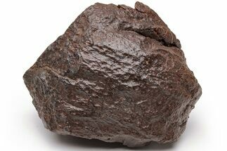 Chondrite Meteorite ( grams) - Western Sahara Desert #226951