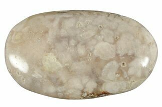 Polished Flower Agate Palm Stone - Madagascar #226861