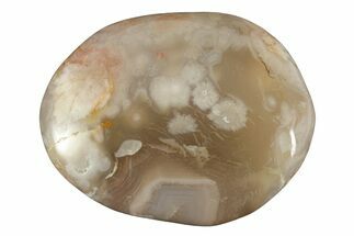 Polished Flower Agate Palm Stone - Madagascar #226865