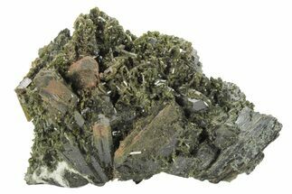 Lustrous, Epidote Crystal Cluster on Actinolite - Pakistan #213460