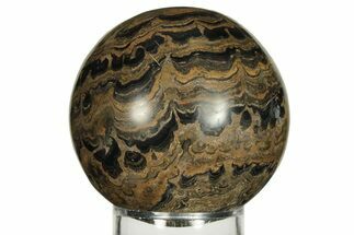 Polished Stromatolite (Greysonia) Sphere - Bolivia #227076