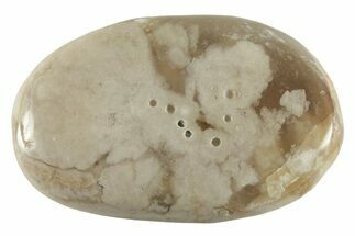 Polished Flower Agate Palm Stone - Madagascar #227028