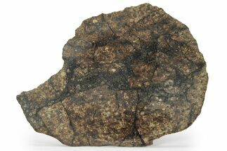 Chondrite Meteorite ( grams) Slice with Shock Veins - Morocco #227976