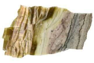 Chatoyant, Polished Pietersite Slab - Arizona #227866