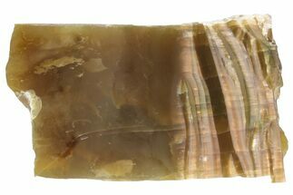 Chatoyant, Polished Pietersite Slab - Arizona #227847