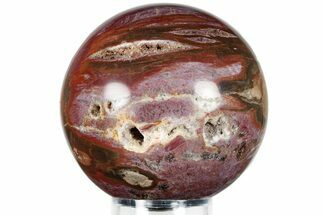 Colorful Petrified Wood (Araucaria) Sphere - Madagascar #227357