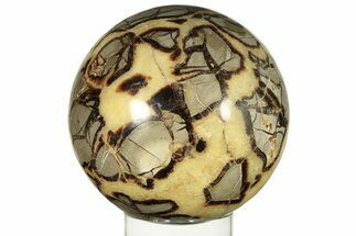 Polished Septarian Sphere - Madagascar #227466