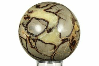 Polished Septarian Sphere - Madagascar #227563