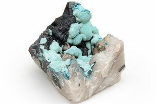 Sky-Blue Botryoidal Chrysocolla on Shattuckite - Namibia #229007