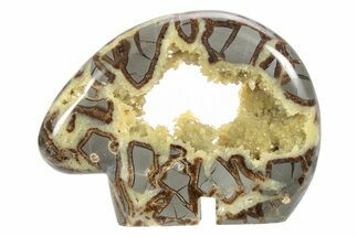 Calcite Crystal Filled, Polished Septarian Bear - Utah #231069