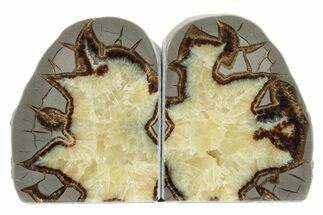 Crystal Filled Septarian Geode Bookends - Utah #231078