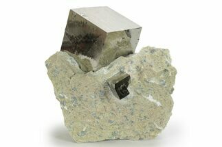 Natural Pyrite Cube In Rock - Navajun, Spain #227639