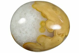 Colorful, Polished Agate Palm Stone - Madagascar #185835