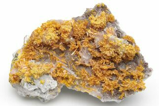 Vibrant Orpiment on Lustrous Barite Crystals - Peru #231542