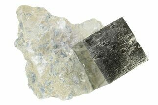 Natural Pyrite Cube In Rock - Navajun, Spain #231444