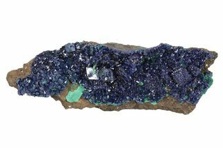 Sparkling Azurite Crystals on Fibrous Malachite - China #231813