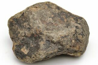 Chondrite Meteorite ( grams) - Western Sahara Desert #232079