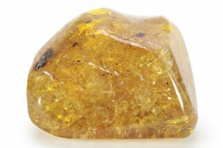 Polished Chiapas Amber ( grams) - Mexico #232563