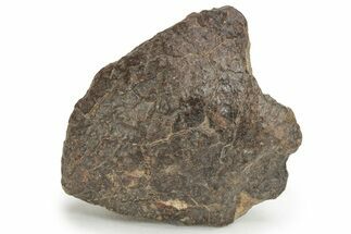 Chondrite Meteorite ( grams) - Western Sahara Desert #232933
