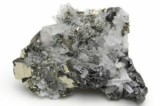 Gleaming, Striated Pyrite and Quartz on Sphalerite - Peru #233402