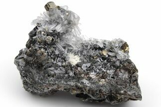 Gleaming Pyrite and Quartz on Sphalerite (Marmatite) - Peru #233427
