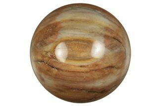 Polished Petrified Wood Sphere #233617