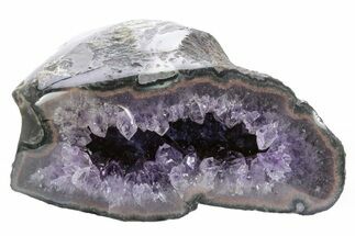 Purple Amethyst Geode with Polished Face - Uruguay #233608