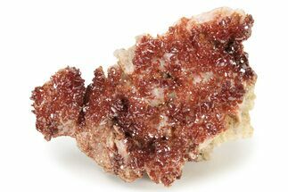 Ruby Red Vanadinite Crystals on Barite - Morocco #233944