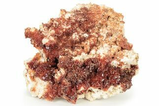 Glittering, Ruby Red Vanadinite Crystals on Barite - Morocco #233971