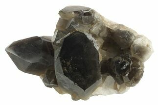 Dark Smoky Quartz Crystal Cluster - Brazil #234050
