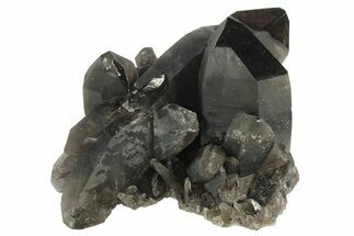 Natural Smoky Quartz Crystal Cluster with Rutile - Brazil #234077