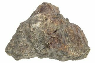 Chondrite Meteorite ( grams) - Western Sahara Desert #233175
