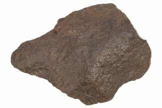 Chondrite Meteorite ( grams) - Western Sahara Desert #233187